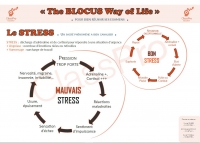 Blocus Class Pro - Stress