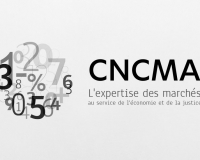 CNCMA-4