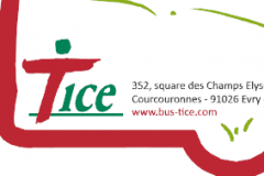 TICE-carte-voeux-2011-verso